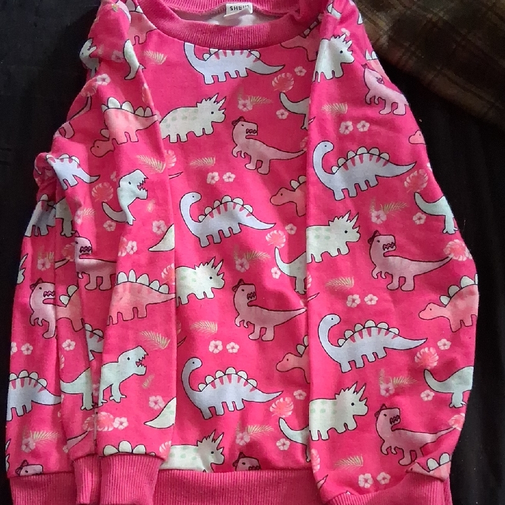 Kids Pink Dinosaur Print Long-Sleeve Top